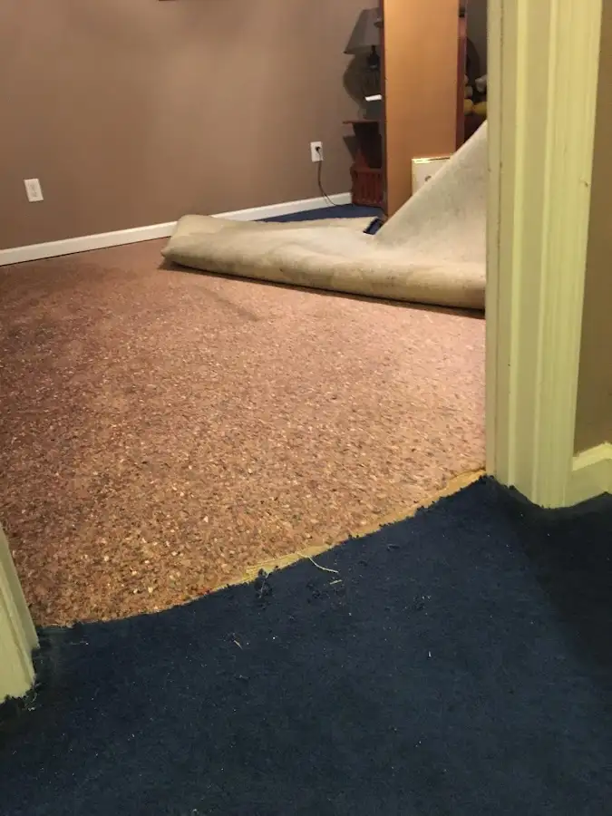 Carpet pad removal revealing water damage during Drying & Dehumidification in Reedsburg