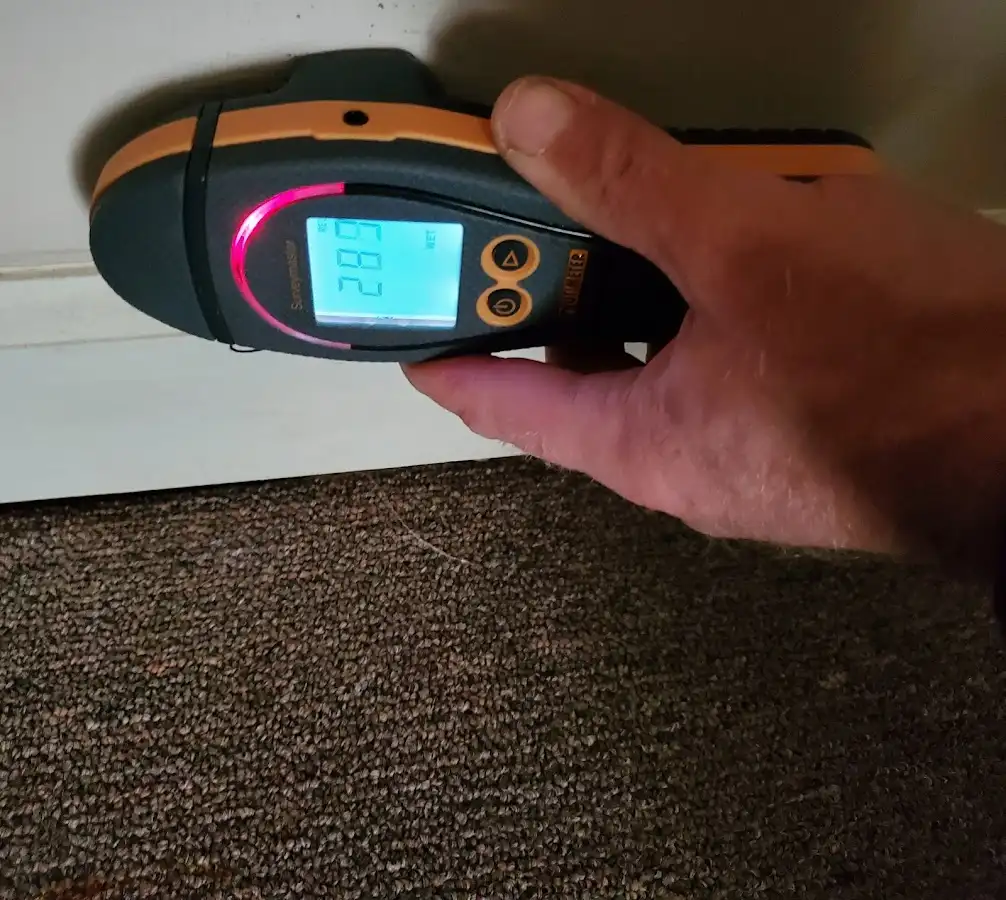 Moisture detection at baseboard during Sewage Cleanup & Sanitation in Reedsburg